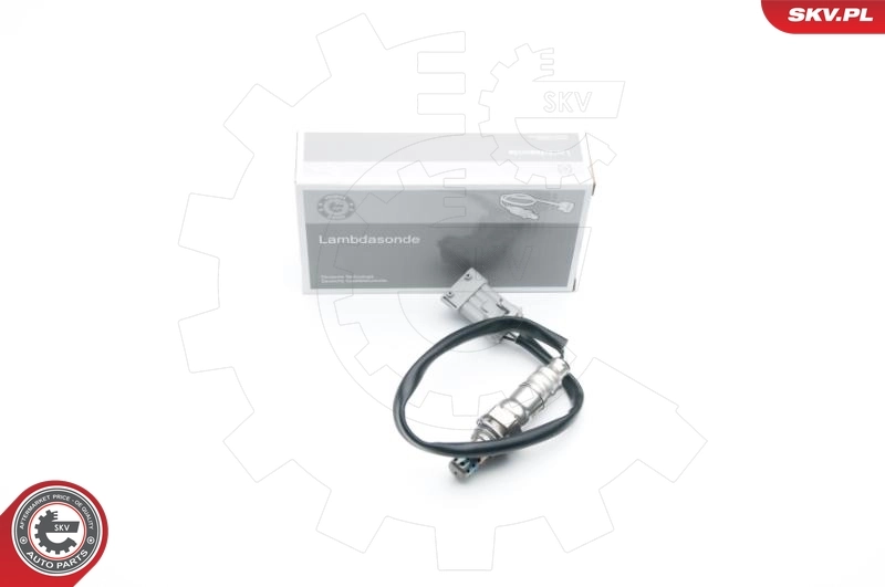 Oxygen Sensor